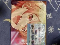 B賞ビッグビジュアルタオル