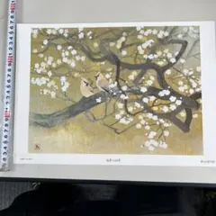 마츠오 토시오 봄 1989년 나가사키 출신 다마미대 교수 B4 대형 액화 두 배 접어 발송