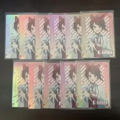 莉犬くん コレクションカード 11枚