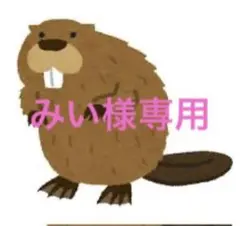 みい様専用ページ