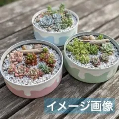 2026年最新】リメイク缶の人気アイテム - メルカリ