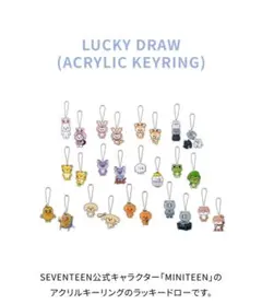 SEVENTEEN MINITEEN アクリルキーホルダー　THE8 ミョンホ