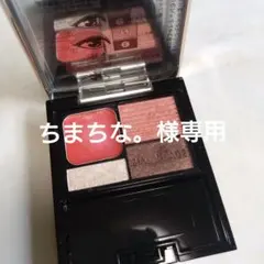 資生堂マキアージュドラマティックスタイリングアイズD　RD312