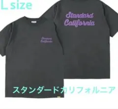 ✳︎新品✳︎ 限定 スタンダードカリフォルニア AH chill Tシャツ L 黒 