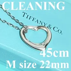 2026年最新】TIFFANYの人気アイテム - メルカリ