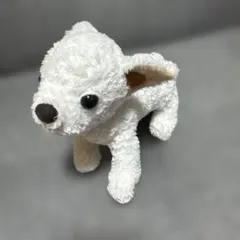 ペットパラダイス マザーガーデン チワワ ぬいぐるみ - メルカリ