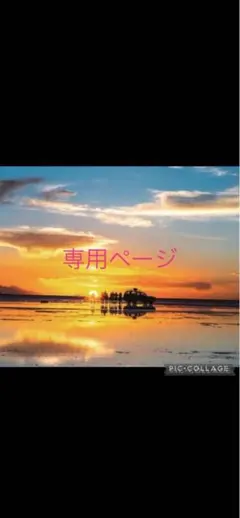 専用ページです