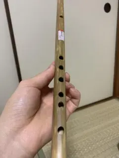 Item thumbnail for item 59d06d74-e9ef-46cc-87e1-3aaa8ce3e9f6