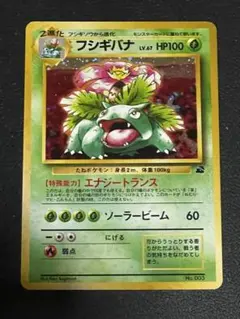 2026年最新】フシギバナEX プロモの人気アイテム - メルカリ