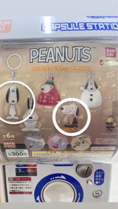 PEANUTS めじるしアクセサリー FUNNY ver. スヌーピーA・D