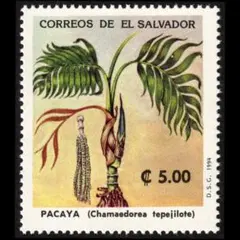 Item thumbnail for item 81f80c98-c19d-4f8e-a30e-f5cc4b9483b7