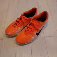 Item thumbnail for item 4c5662c8-8ab8-46d3-9f33-446a12e87a79