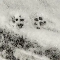 るる様 リクエスト 2点 まとめ商品