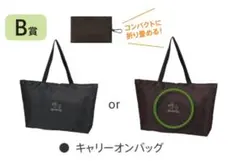 JRA ウェルカムチャンス キャリーオンバッグ ブラウン