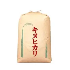 新米 令和7年度 埼玉県産 キヌヒカリ 玄米 30kg 1袋 未検査米のサムネイル