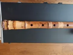 Item thumbnail for item 52426ef4-516c-416f-82f4-e2c081b5a85f