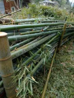 せーた様専用ページです。　竹