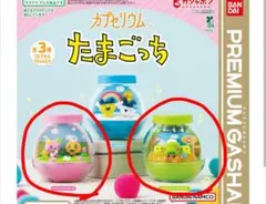 たまごっち カプセリウム ガチャガチャ