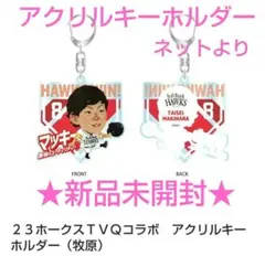 Tele タオル 2023 tele タオル＆ステッカーセット teleグッズ 2023タオル＆透明