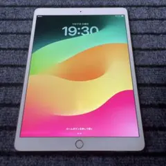 92 iPad Pro10.5 256GB SIMフリー ローズゴールド
