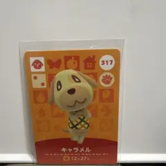 【xyz555様専用】あつまれどうぶつの森キャラメル317リカルド 024