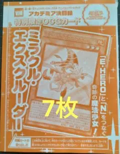 極美品❗️ディスク傷なし 幻想の魔術師 カレル・ゼマン DVD