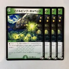 148128 ソイルピンプキャベッジ