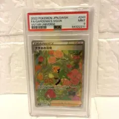 【PSA9】ナタネの活気 SAR 243/172 VSTARユニバース