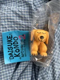 Daisuke Kondo miscof 2 inu