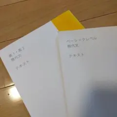 高1・高2 現代文 ベーシックレベル テキスト　２冊セット　スタディサプリ