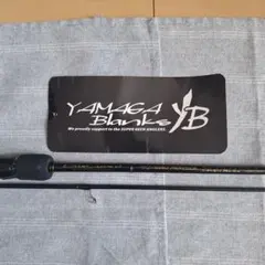 2025年最新】ブルーカレント tz nano 73の人気アイテム - メルカリ