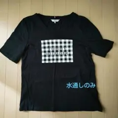 【最終値下げ】トミーヒルフィガー 半袖Tシャツ