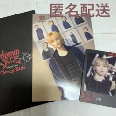 Stray Kids World Tour dominATE アイエン スキズ