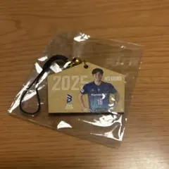 Item thumbnail for item 3fe71221-f988-474b-805e-5da747f0d0c5