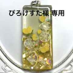 ぴろけすた様 リクエスト 4点 まとめ商品