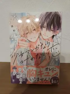 少女マンガなら叶わない恋