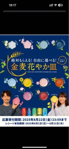 金麦花やか皿、全12枚セット