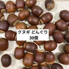 クヌギどんぐり30個