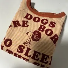 Item thumbnail for item 1c8a1a6a-3e45-491d-ab05-45eb74b56c9c