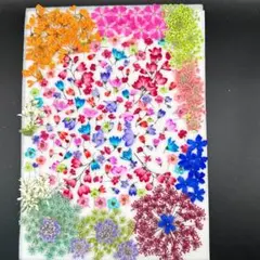 Item thumbnail for item e393b74c-645d-4c54-ac0a-a0b36179aea0