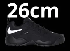 Supreme × Nike SB Darwin Low "Black"のサムネイル