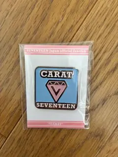 SEVENTEEN ピンバッジ