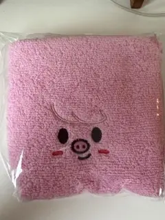 straykids スキズ　ペンミ　入場特典　タオル　トゥエッキ