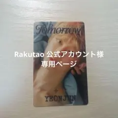 専用ページとなります。