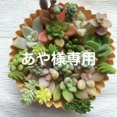 あや様 リクエスト 2点 まとめ商品