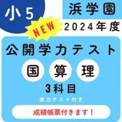 2025年最新】浜学園 最高レベル 算数 小5の人気アイテム - メルカリ