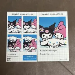 サンリオ　証明写真風スマロイド　クロミ　マイメロディ　シナモン　シークレット