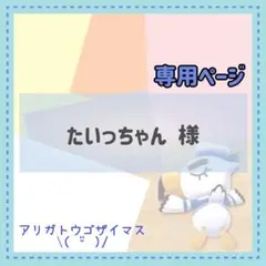 たいっちゃん様 リクエスト 2点 まとめ商品