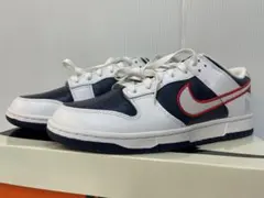 Nike Women's Dunk Low PRM DZ2780-100 未使用