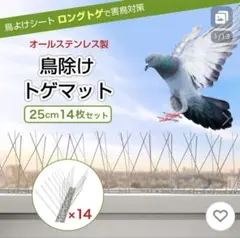 Item thumbnail for item 8fe7cfdc-296b-472d-bf85-be549b4c547f